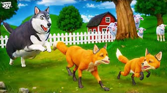 Post 6 by Animals Joy Time on YouTube (video)