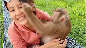 Post 8 by Home Animals on YouTube (video)