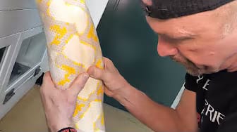 Post 4 by Reptile Tutorials on YouTube (video)