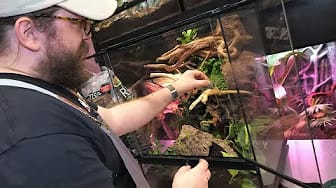 Post 5 by Reptile Tutorials on YouTube (video)