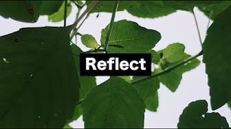 Post 5 by Zuck That on YouTube (video)