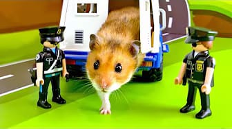 Post 7 by Hamster Disaster on YouTube (video)