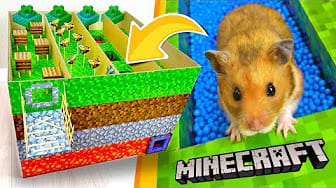 Post 4 by Hamster Disaster on YouTube (video)