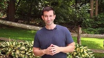 Post 3 by GreenHealth on YouTube (video)