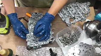 Post 1 by The Labor Service on YouTube (video)