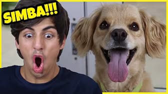 Post 7 by Simba El Travieso on YouTube (video)