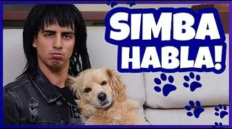 Post 6 by Simba El Travieso on YouTube (video)