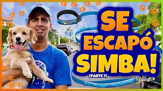 Post 5 by Simba El Travieso on YouTube (video)