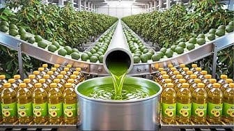 Post 6 by The Supply Chain on YouTube (video)