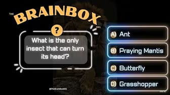 Post 6 by THE BRAINBOX 001 on YouTube (video)