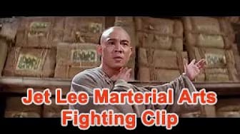 Post 9 by Kung Fu Family on YouTube (video)