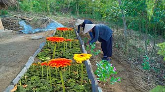 Post 3 by My Peaceful Farm on YouTube (video)