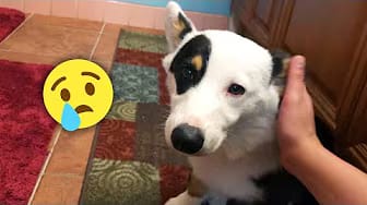 Post 8 by Mighty Adventures on YouTube (video)