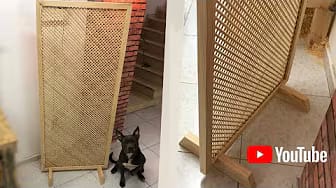 Post 6 by Woodworking For Beginners on YouTube (video)