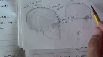 Post 2 by Happy Drawing on YouTube (video)