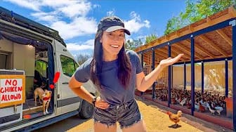 Post 3 by DIY with Nikki & Justin on YouTube (video)