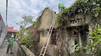 Post 1 by cleaner on YouTube (video)