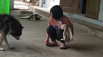 Post 6 by Minh Huy on YouTube (video)