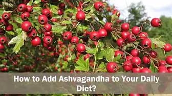 Post 6 by IndianHerbal Care on YouTube (video)