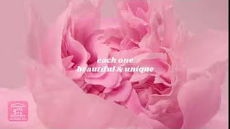 Post 6 by Official JoyHouse.us on YouTube (video)