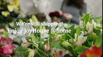 Post 4 by Official JoyHouse.us on YouTube (video)