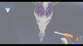 Post 4 by VRTOPIA on YouTube (video)