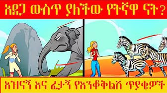 Post 4 by TADYAS FILMS - ታድያስ ፊልምስ on YouTube (video)