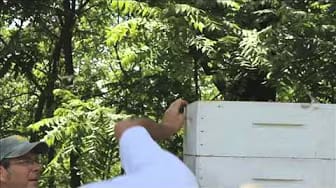 Post 1 by Herman Danenhower on YouTube (video)