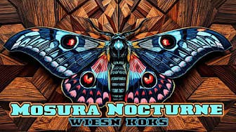 Post 3 by WiesnKoks on YouTube (video)