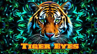 Post 5 by WiesnKoks on YouTube (video)