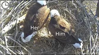 Post 6 by Xcel Energy Fort St. Vrain Eagles (top view) on YouTube (video)