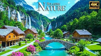 Post 4 by Natural Life on YouTube (video)