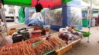 Post 1 by Cuộc Sống Hàn Quốc on YouTube (video)