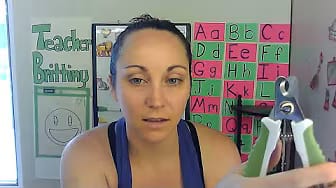 Post 2 by Shiny Pet Company on YouTube (video)