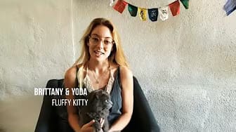 Post 4 by Shiny Pet Company on YouTube (video)