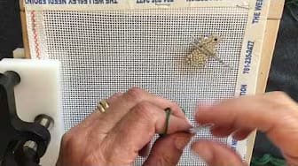 Post 6 by Wellesley Needlepoint on YouTube (video)