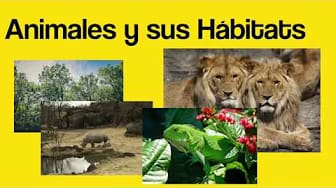 Post 1 by EstrellitaBilingue Partida on YouTube (video)