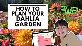 Post 3 by Evelyn's Garden and Nursery on YouTube (video)