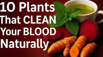 Post 2 by WellnessThroughPlants channel on YouTube (video)
