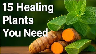 Post 4 by WellnessThroughPlants channel on YouTube (video)