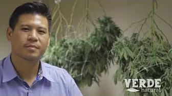 Post 7 by Verde Natural - Marijuana Dispensary on YouTube (video)