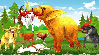 Post 7 by Animals Funny Animation on YouTube (video)