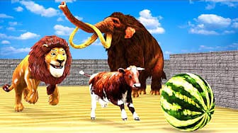 Post 5 by Animals Funny Animation on YouTube (video)