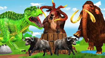 Post 6 by Animals Funny Animation on YouTube (video)