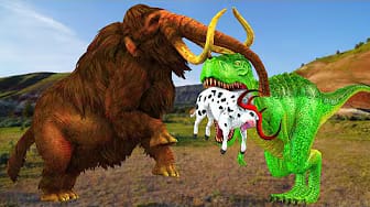 Post 2 by Animals Funny Animation on YouTube (video)