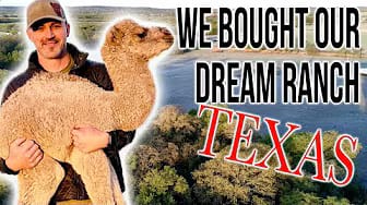 Post 2 by Wildlife Ridge Ranch on YouTube (video)