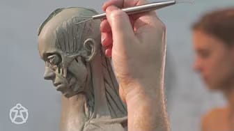 Post 3 by AnatomyTools.com on YouTube (video)