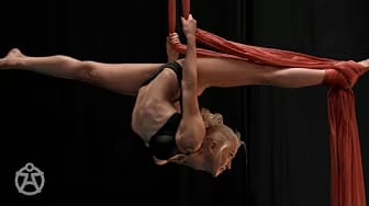 Post 6 by AnatomyTools.com on YouTube (video)