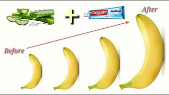 Post 1 by Healthy Daily on YouTube (video)