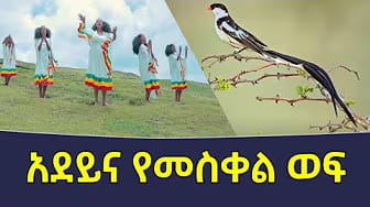 Post 7 by Et Daily ኢቲ ዴይሊ on YouTube (video)